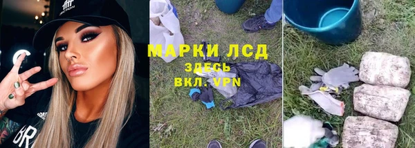 дживик Себеж