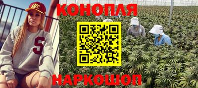 каннабис Берёзовский