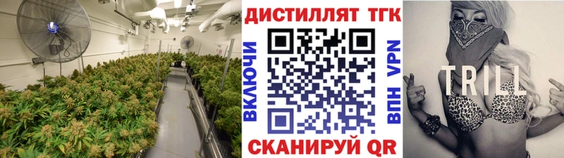 ТГК Wax Томск