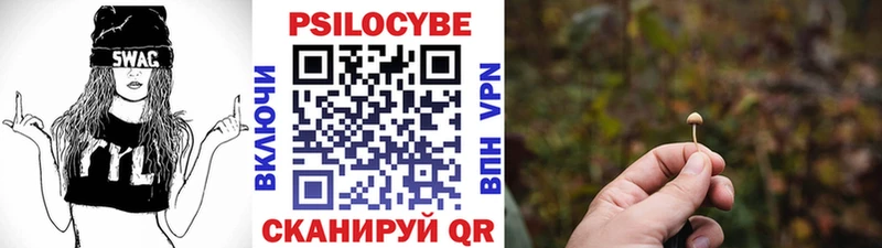 магазин продажи наркотиков  Томск  Псилоцибиновые грибы GOLDEN TEACHER 