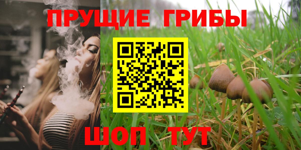 Псилоцибиновые грибы Magic Shrooms  Вход с VPN  Томск 