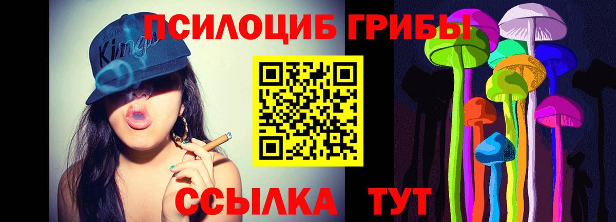 Галлюциногенные грибы Magic Shrooms  Томск 